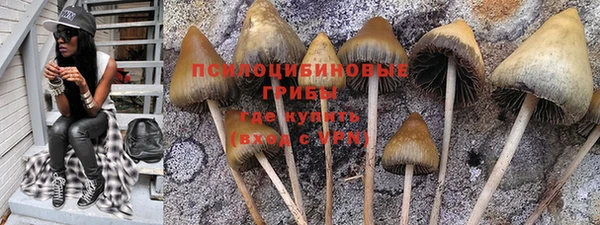 каннабис Абаза