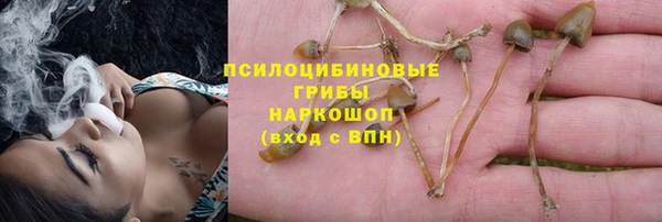 jwh Алзамай