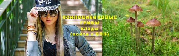 a pvp Алексин