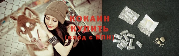 a pvp Алексин